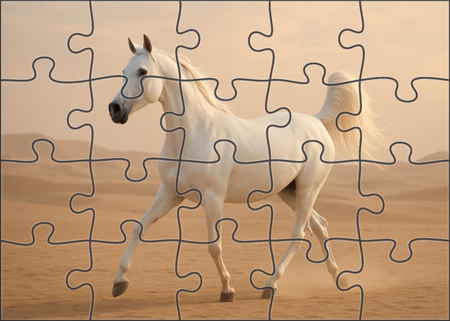 Pearl Star Gazelle Delicate White Arabian Mare Challenging Puzzles