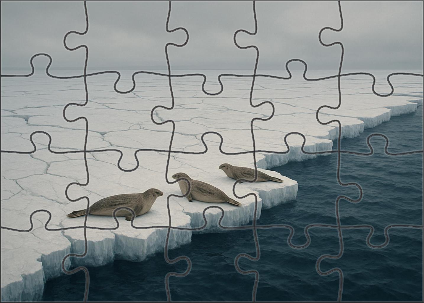 Frozen Ice Shelf Margin 1000 Piece Puzzle