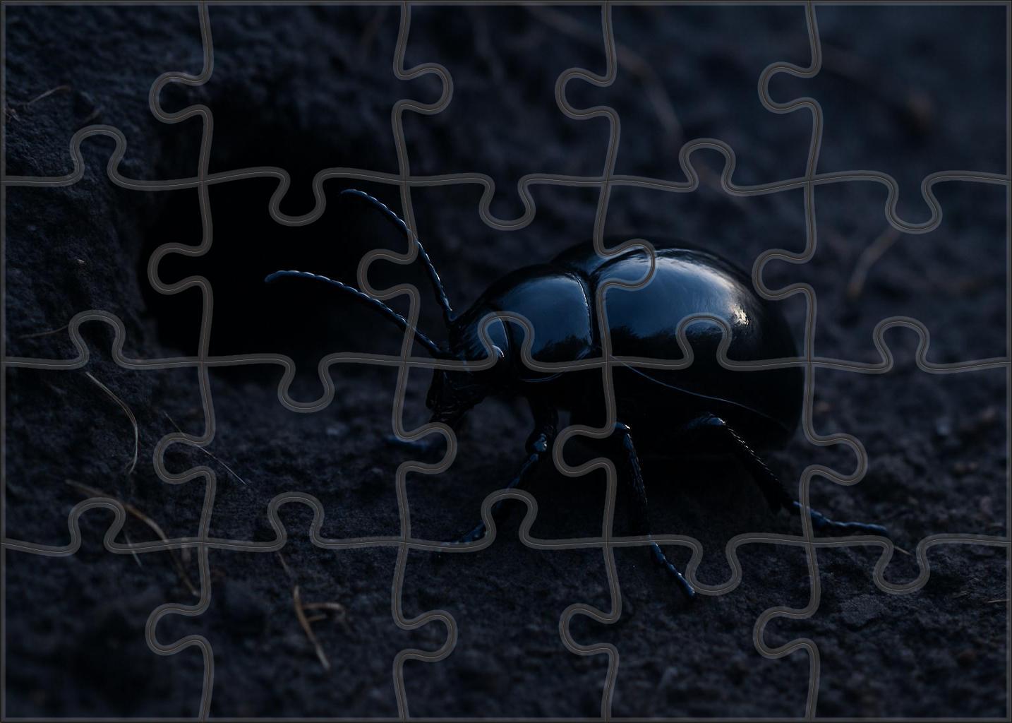 Obsidian Scaleback Hardened Insect With Reflective Carapace And Burrowing Habits 100 Piece Puzzle