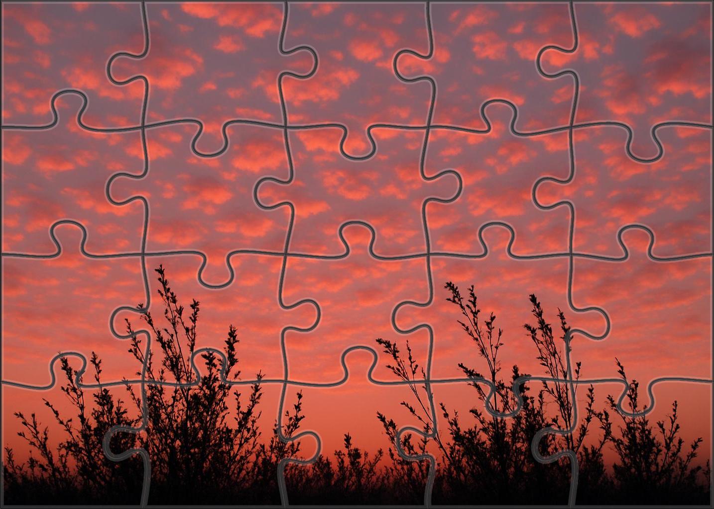 Twilight Coral Radiance Premium Puzzle Pieces