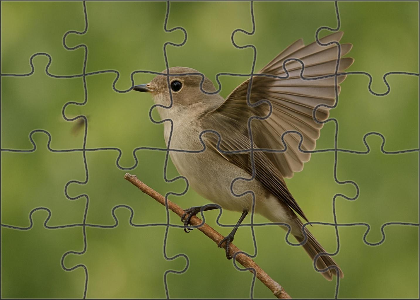 Spotted Flycatcher Subtle Skyhunter Custom Jigsaw Puzzle