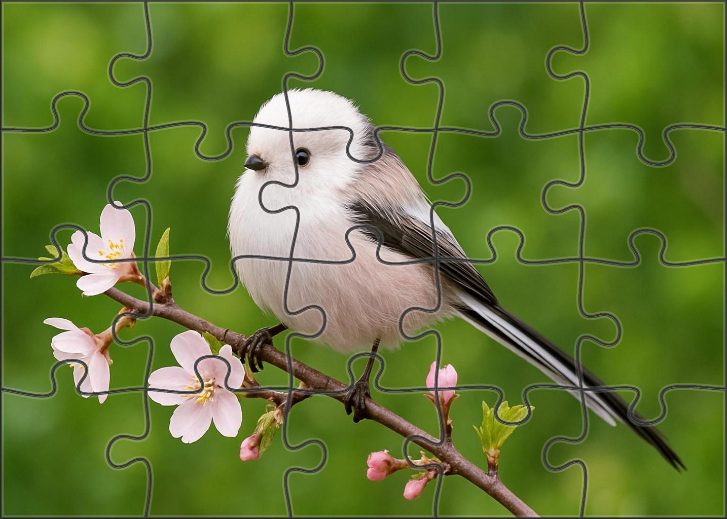 Long-tailed Tit Tiny Fluffball Puzzle Fun