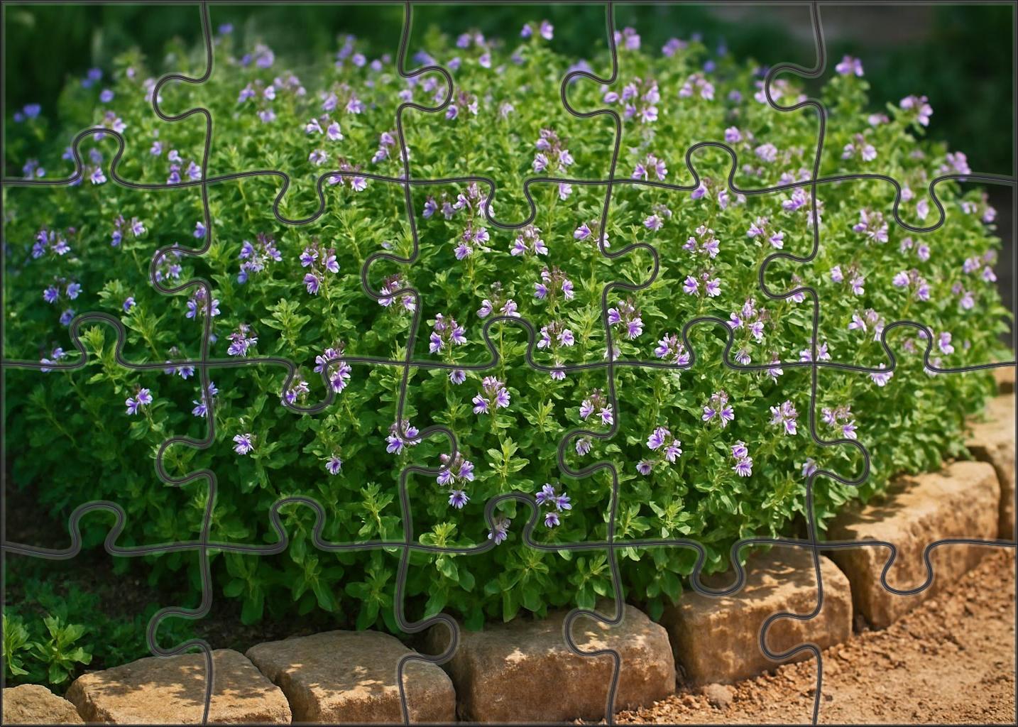 Rustic Herb Garden Bed Aromatic Greens With Blooming Highlights Family Puzzles