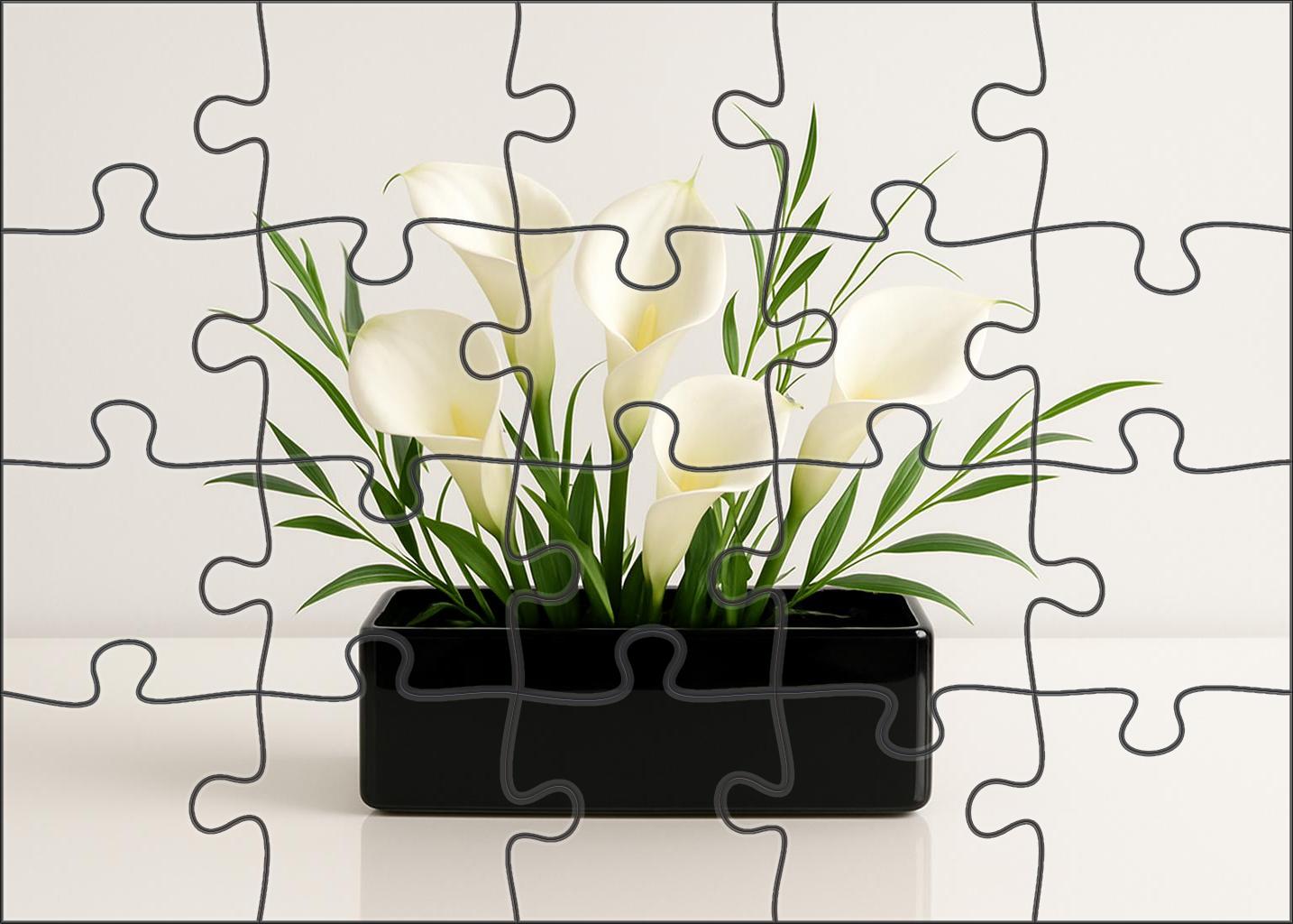 Minimalist Winter Whites Sleek White Blooms In Glossy Black Container Family Puzzles