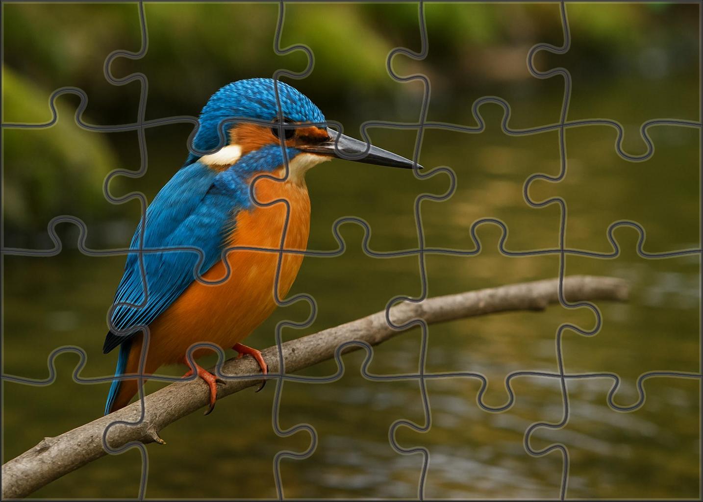 Azure Kingfisher Brilliant River Jewel Custom Jigsaw Puzzle