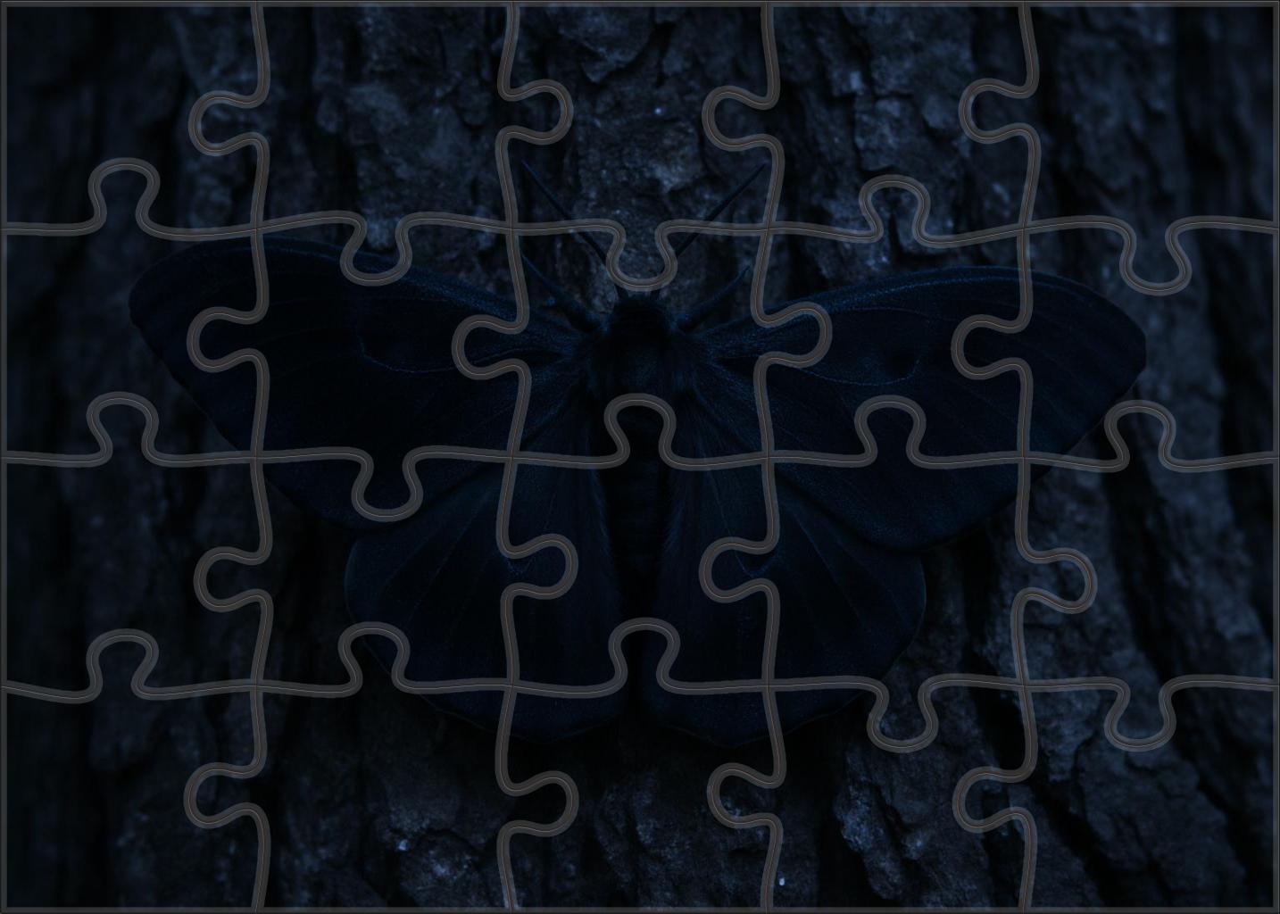 Obsidian Velvet Moth Nocturnal Insect With Glossy Black Wings And Silent Flight Puzzle Collection