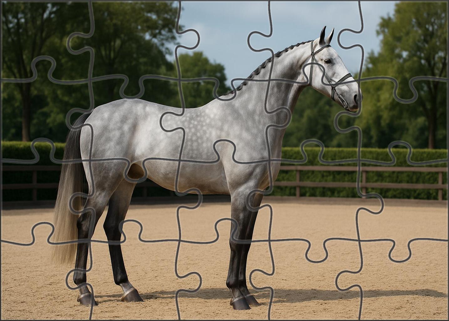 Silver Comet Sleek Gray Warmblood With Poised Presence 500 Piece Puzzle