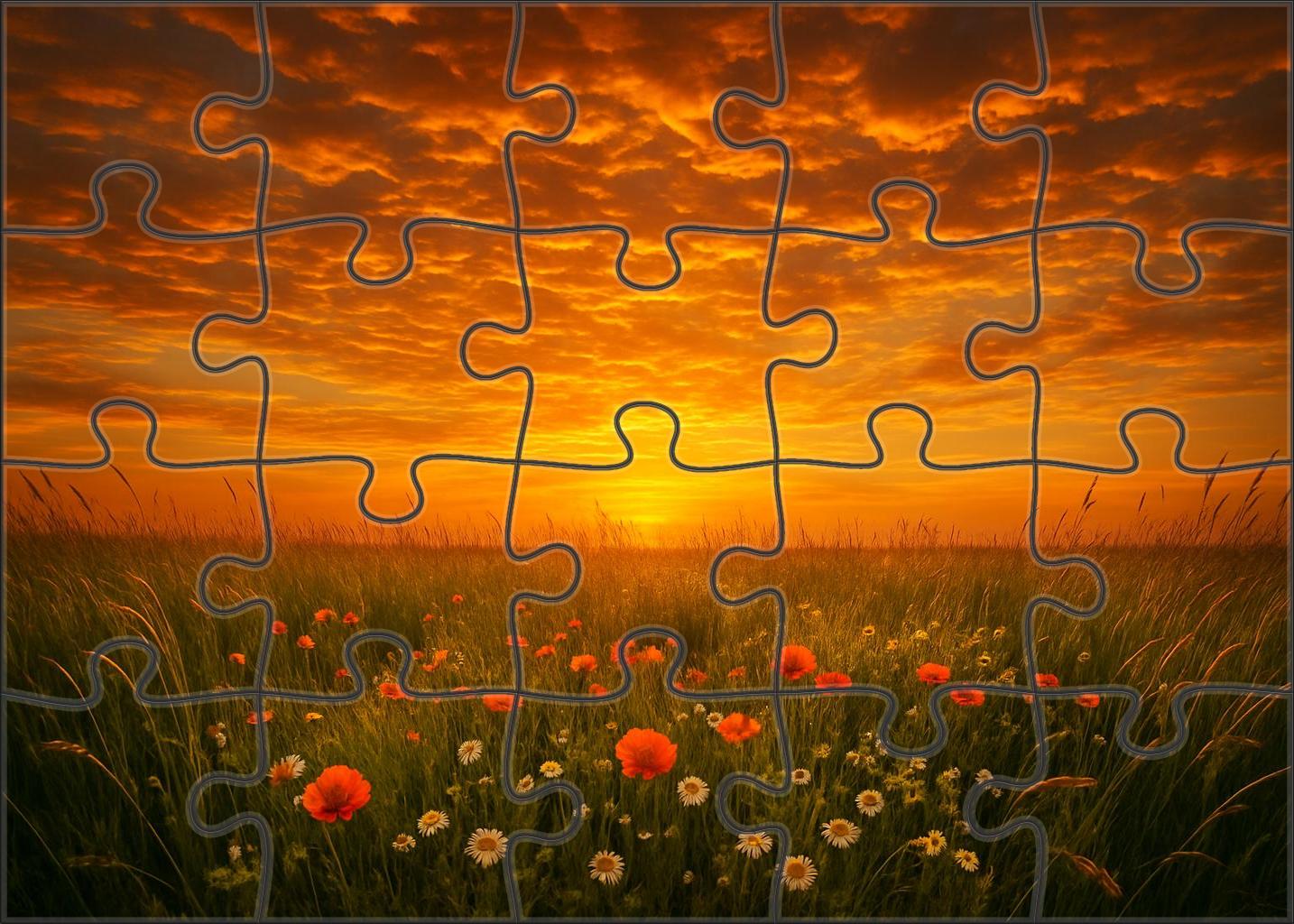 Golden Hour Meadow Puzzle For Adults