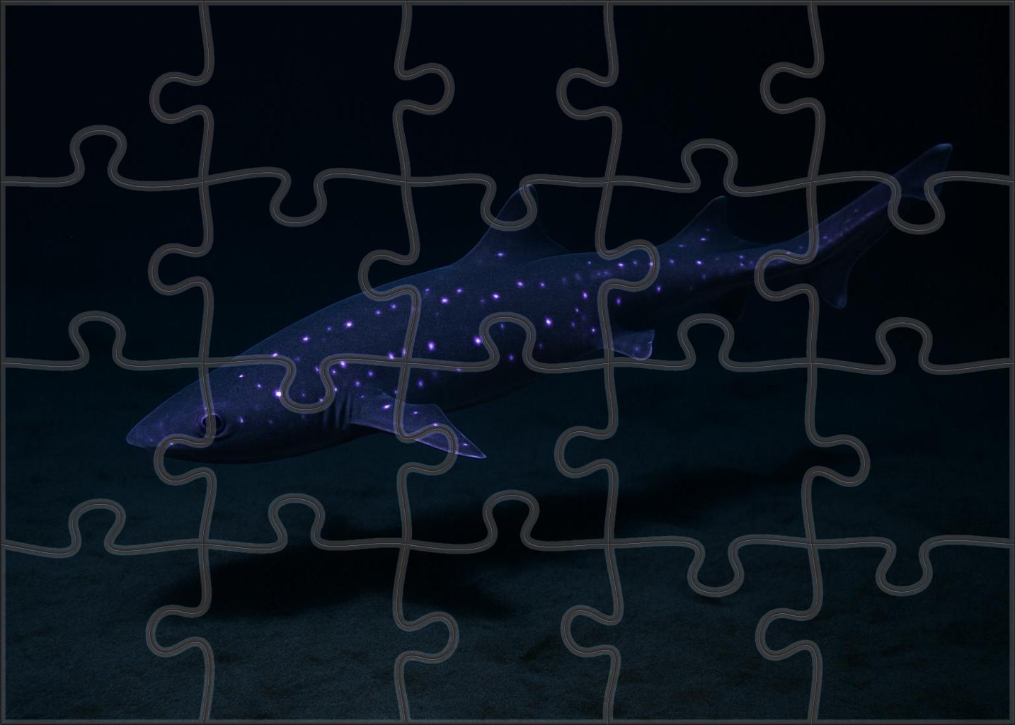 Violet-spotted Lanternshark Small Deepwater Shark With Luminescent Markings Easy Puzzles