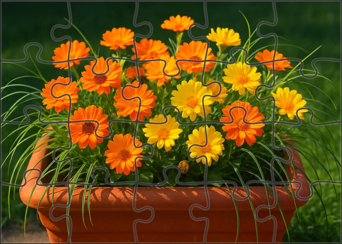 Sunburst Terrace Planter 50 Piece Puzzle