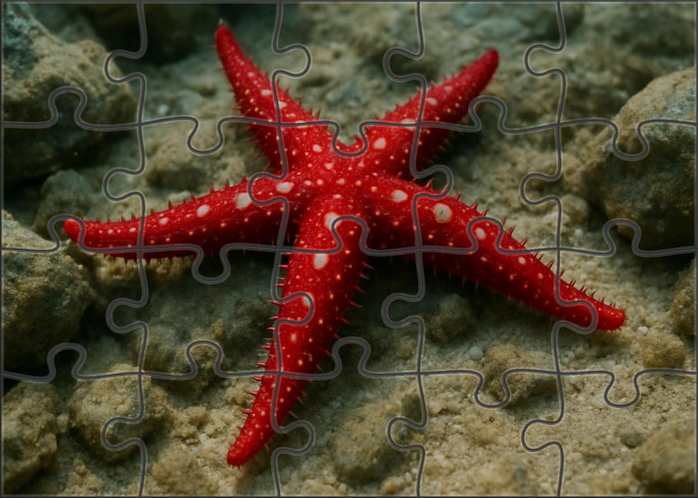 Ruby-spotted Starfish Vibrant Benthic Predator Easy Puzzles