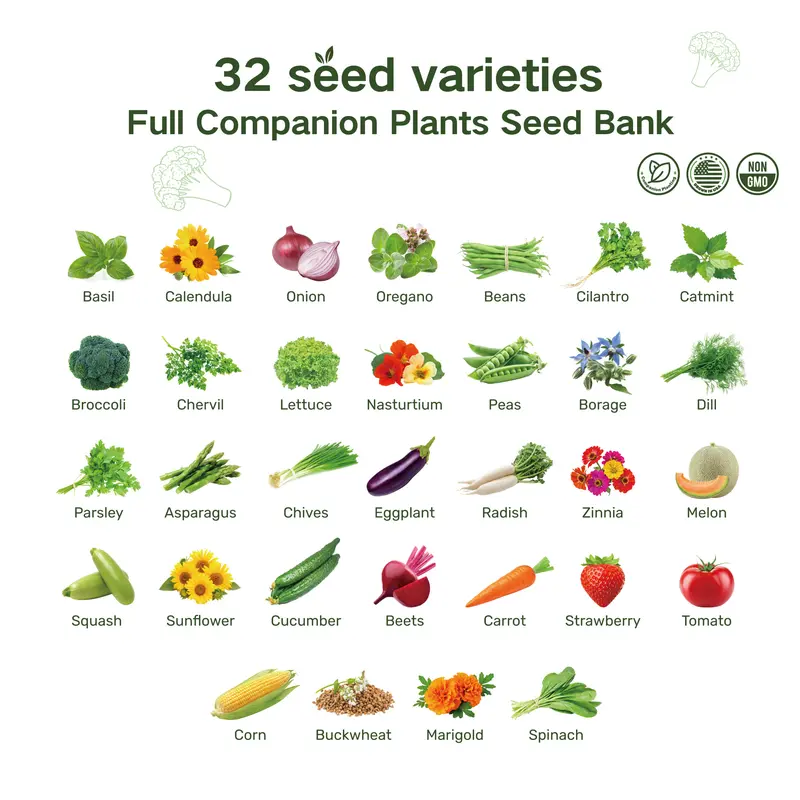 32 Varieties Vegetable Herb And Flower Seed