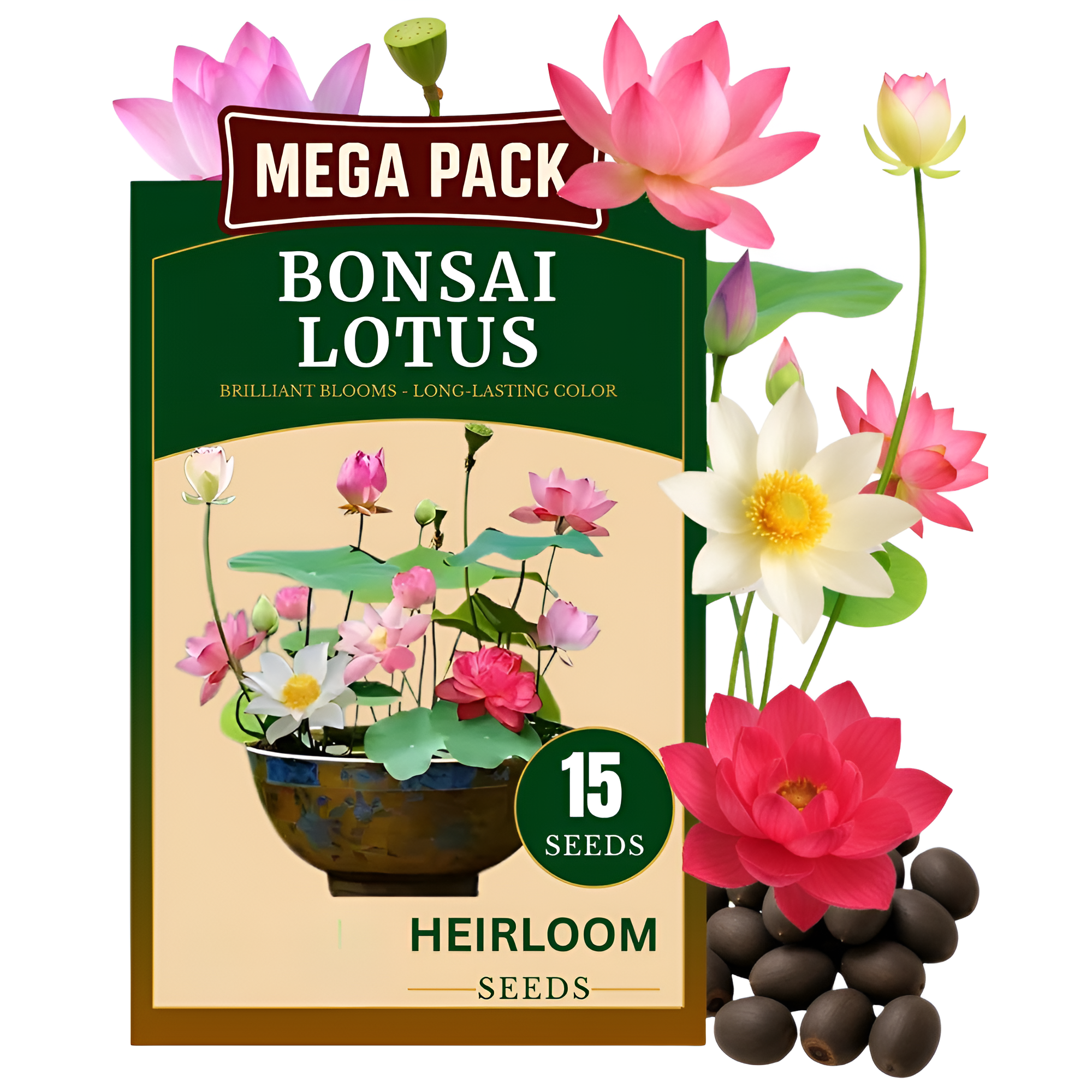 15 Pieces Of Lotus Seeds For Outdoor Planting