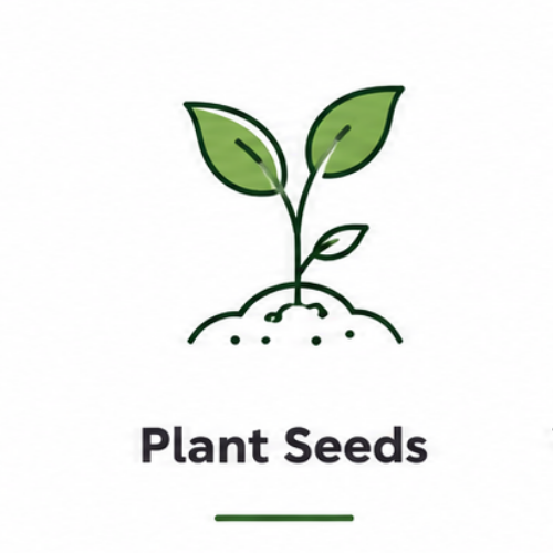 Plant Seeds