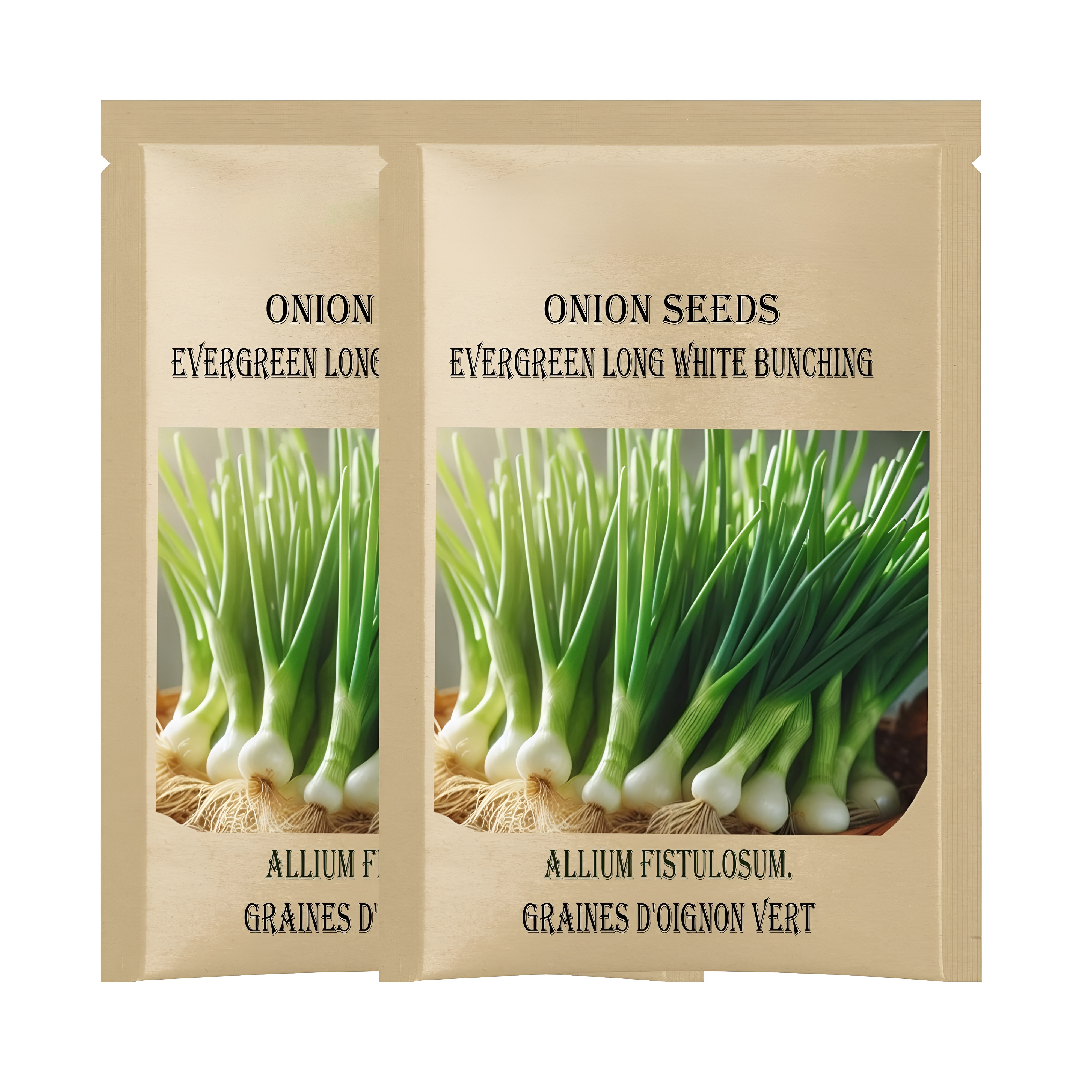 Evergreen Nebuka White Bunching Onion Seeds