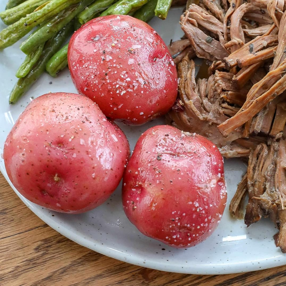 Pontiac Red Seed Potatoes