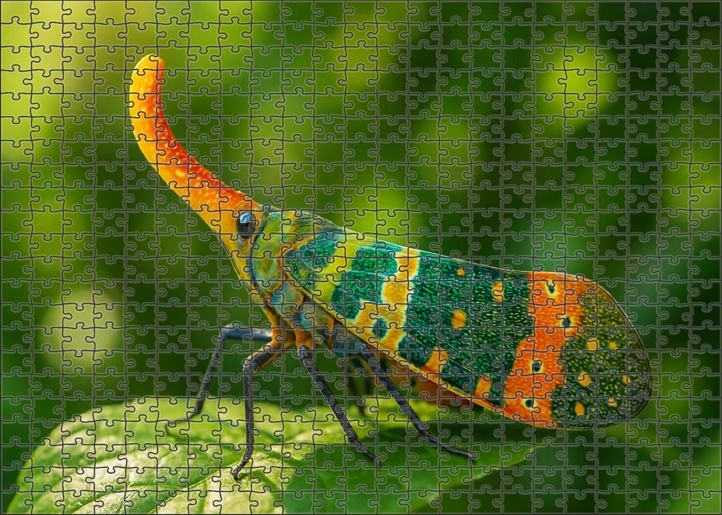Golden Crest Hopper Vibrant Arboreal Insect With Acoustic Signaling 50 Piece Puzzle