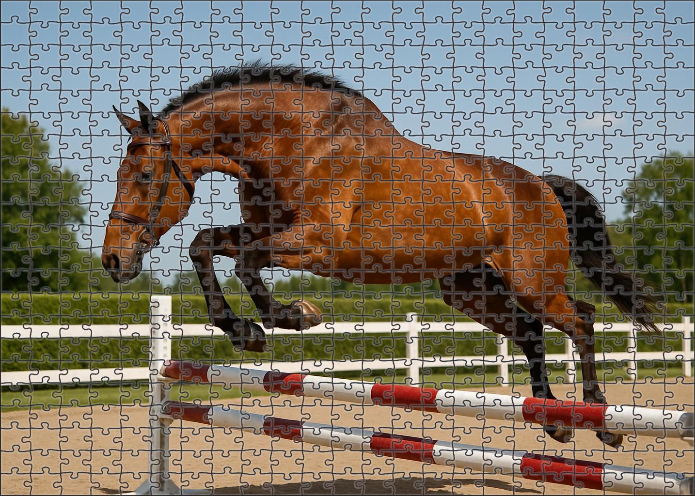 Golden Horizon Hunter Warm Bay With Smooth Jumping Style 500 Piece Puzzle