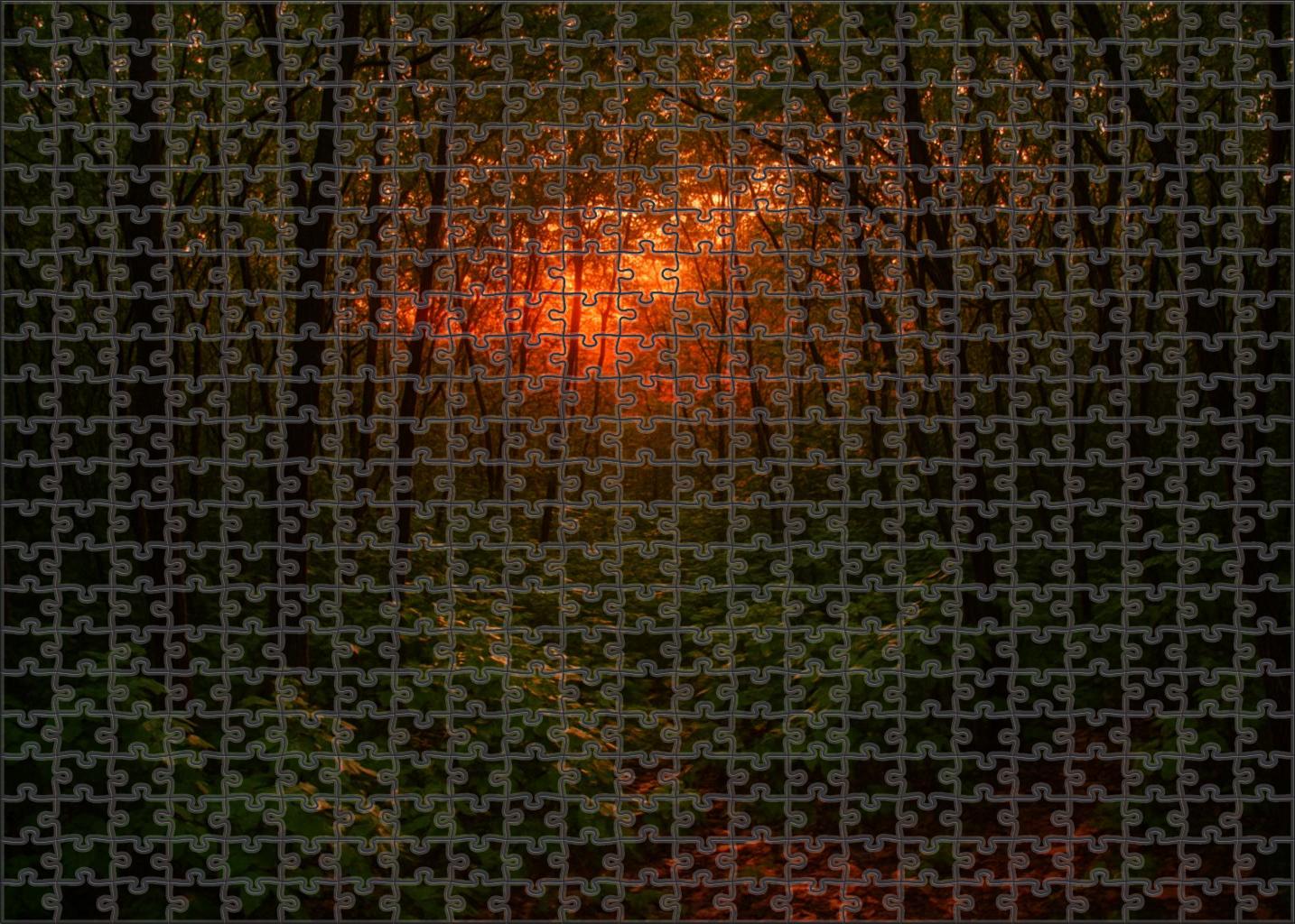 Sunset Thicket Unique Puzzle Design