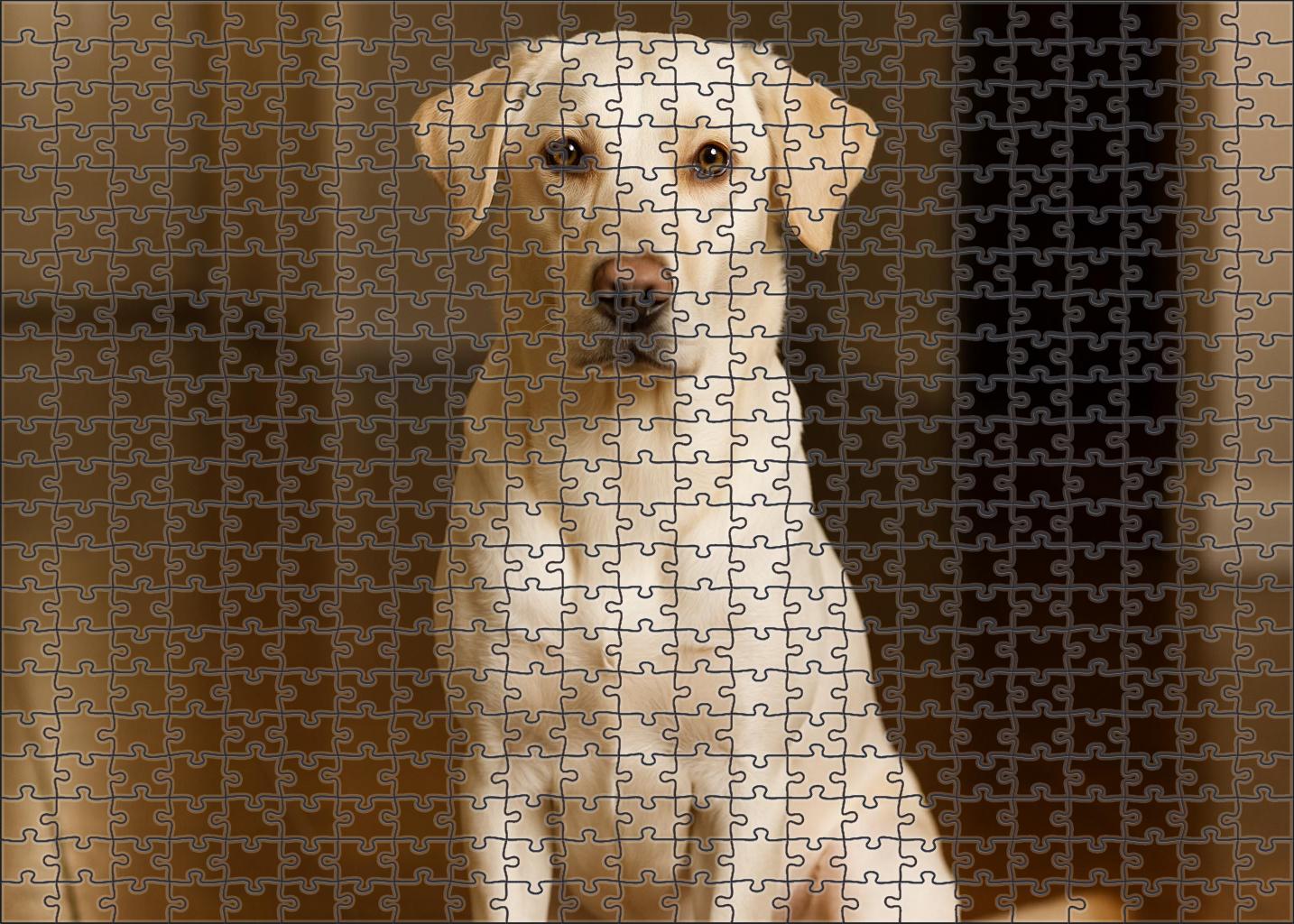 Ivory Crest Challenging Puzzles