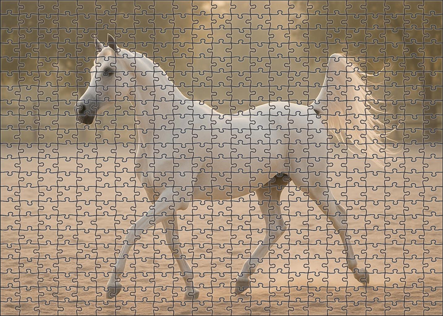Snowfall Whisper Delicate White Arabian Mare With Fluid Movements 500 Piece Puzzle