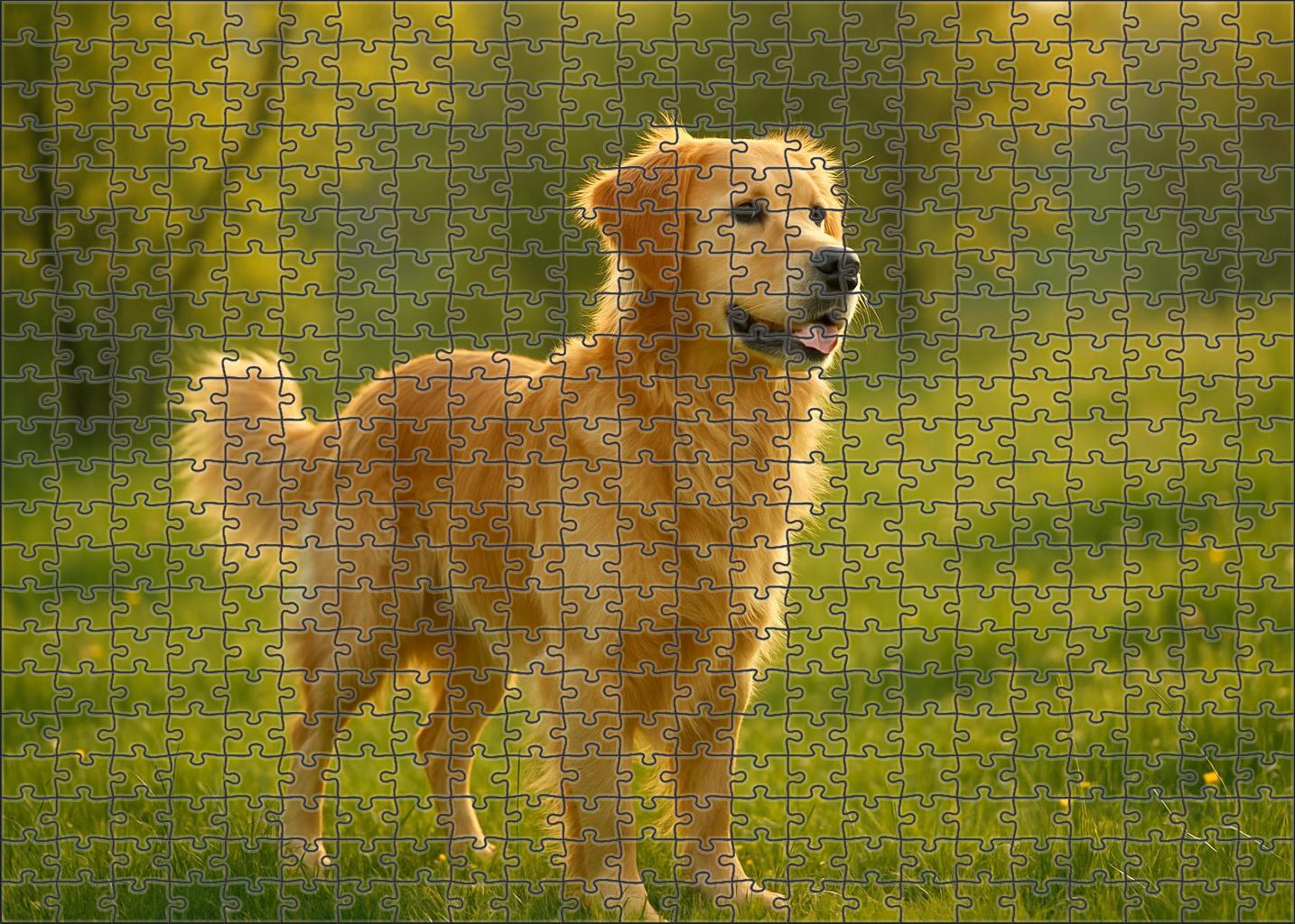 Amber Twilight Family Puzzles