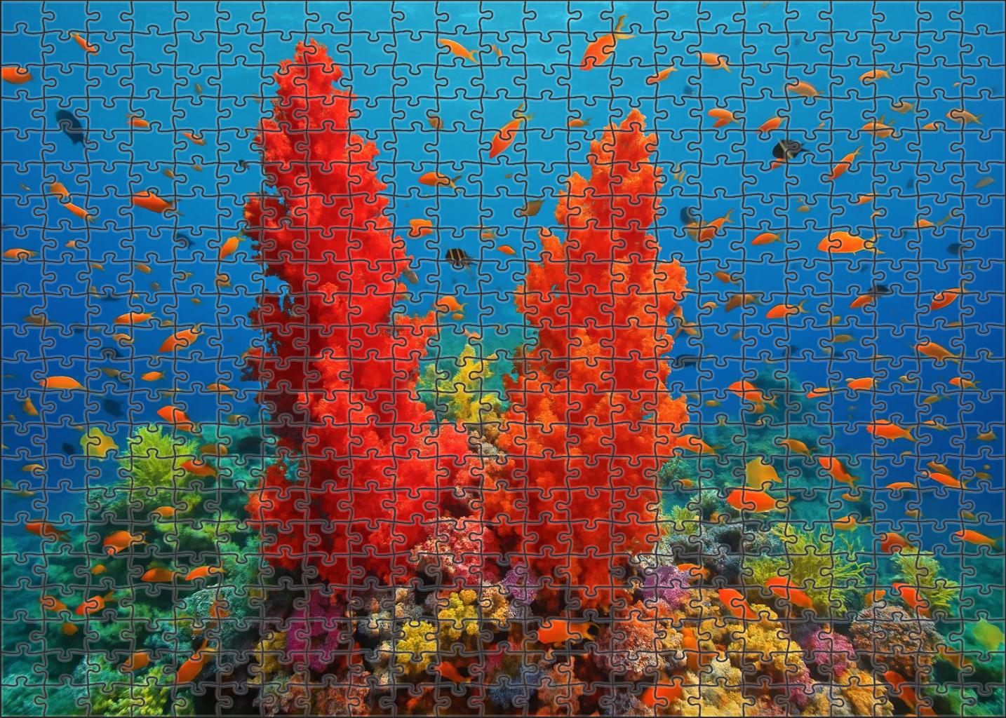 Crimson Coral Pinnacles Puzzle Challenge