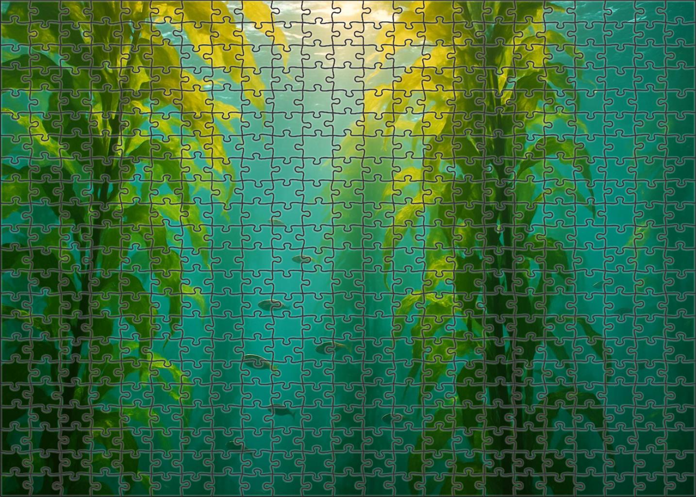 Twilight Kelp Canopy 300 Piece Puzzle