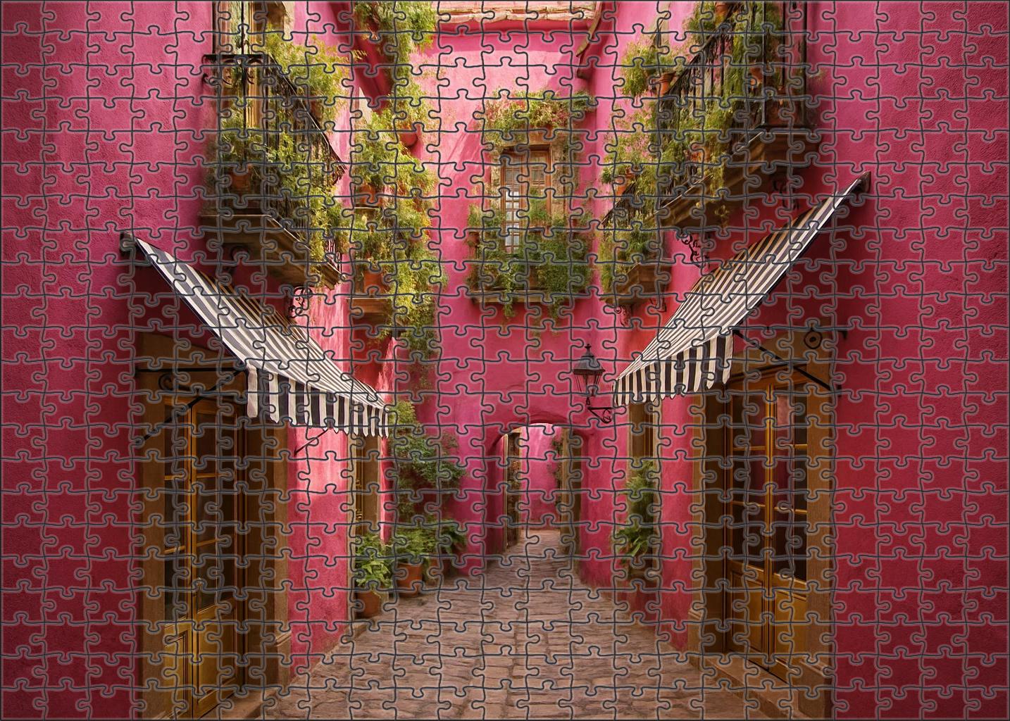 Cerise Passage 300 Piece Puzzle