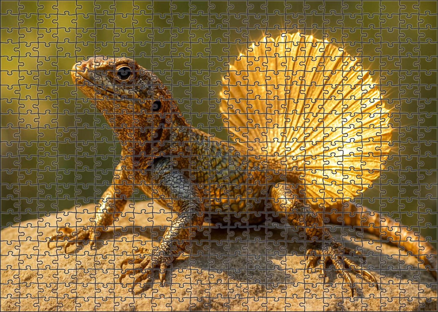 Gilded Fan-tailed Skink Shimmering Reptile With Elaborate Display Feathers Puzzle Fun