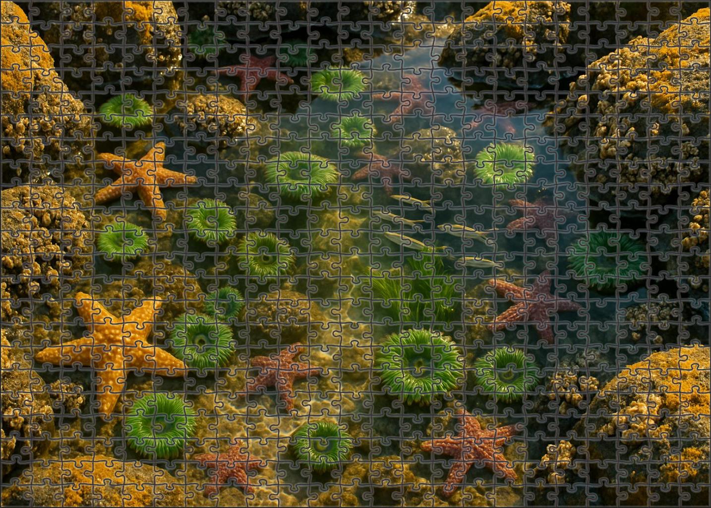 Crystal Tide Pools Vibrant Microhabitats At Rocky Shore Edges 200 Piece Puzzle