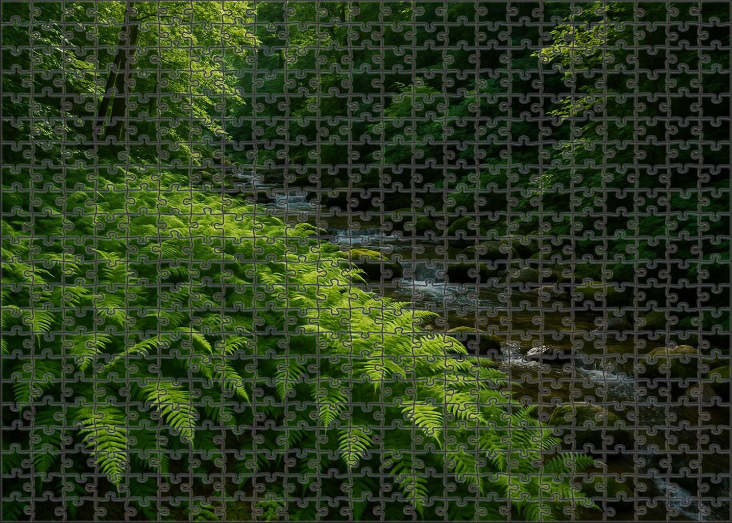 Fernbrook Glade Easy Puzzles