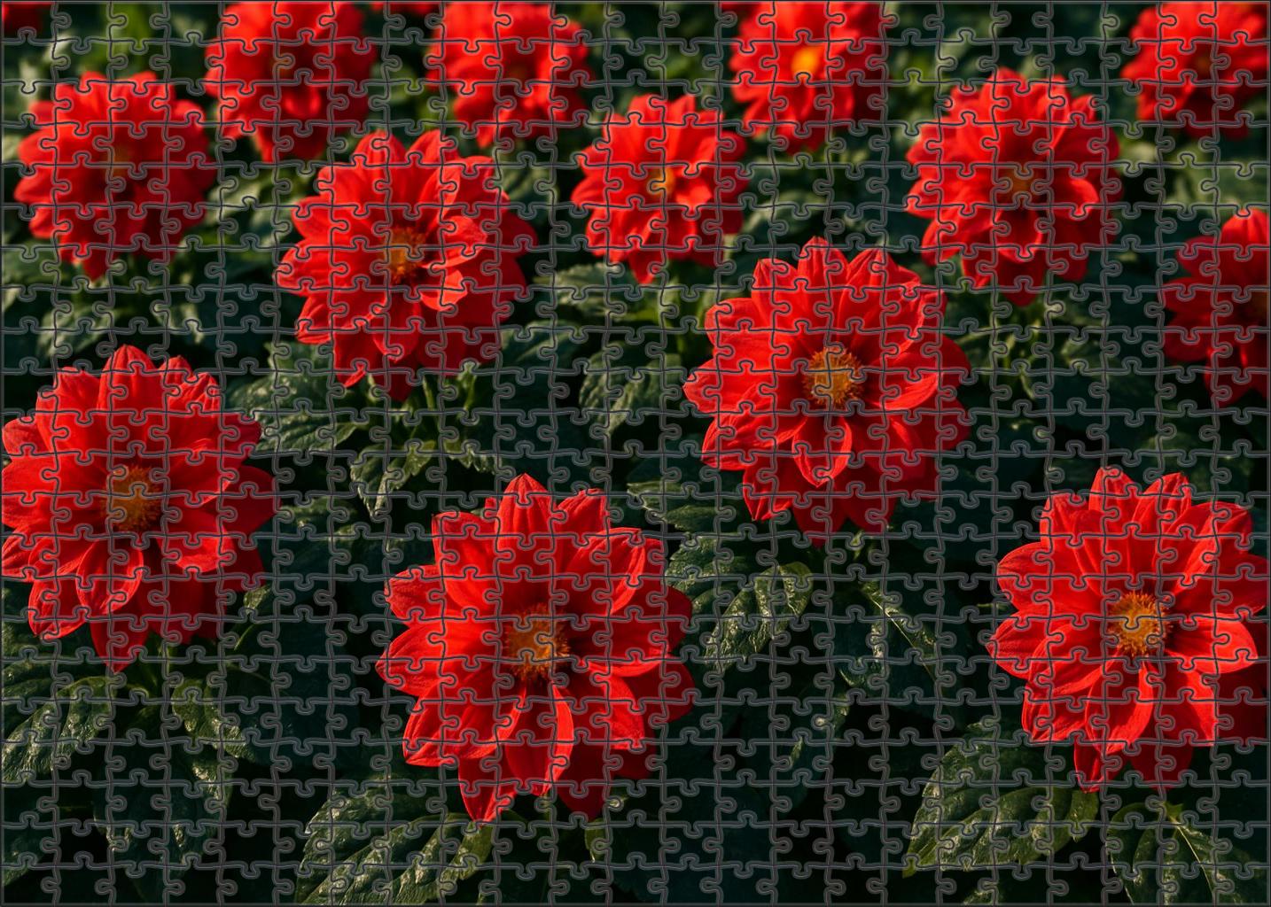 Crimson Glow Garden Bed 50 Piece Puzzle