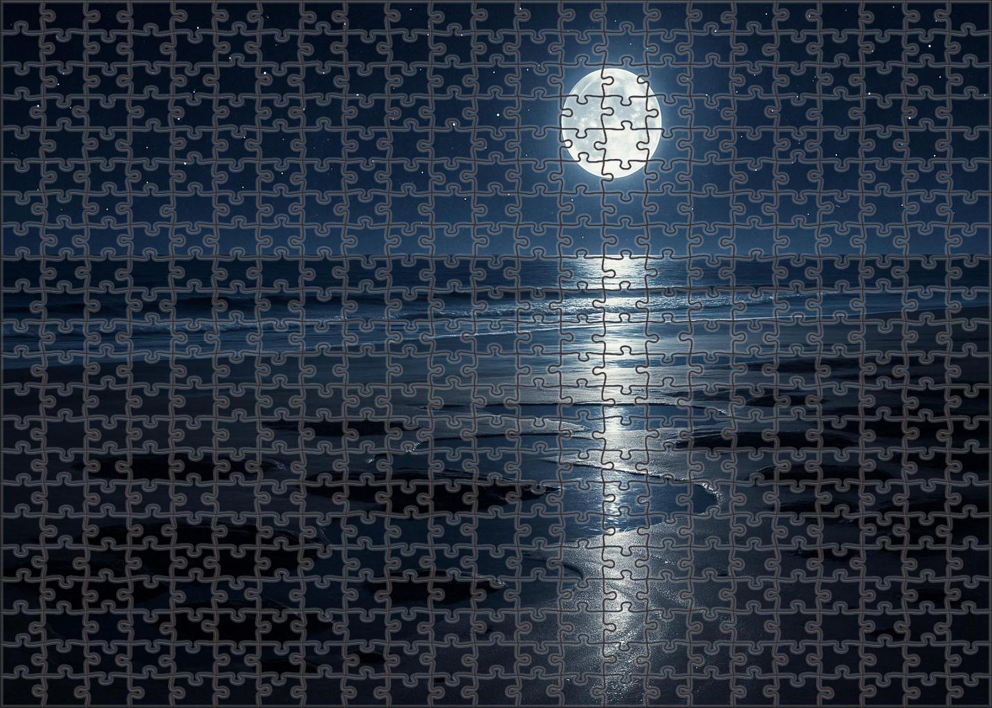 Moonlit Tide Shore Mini Puzzle