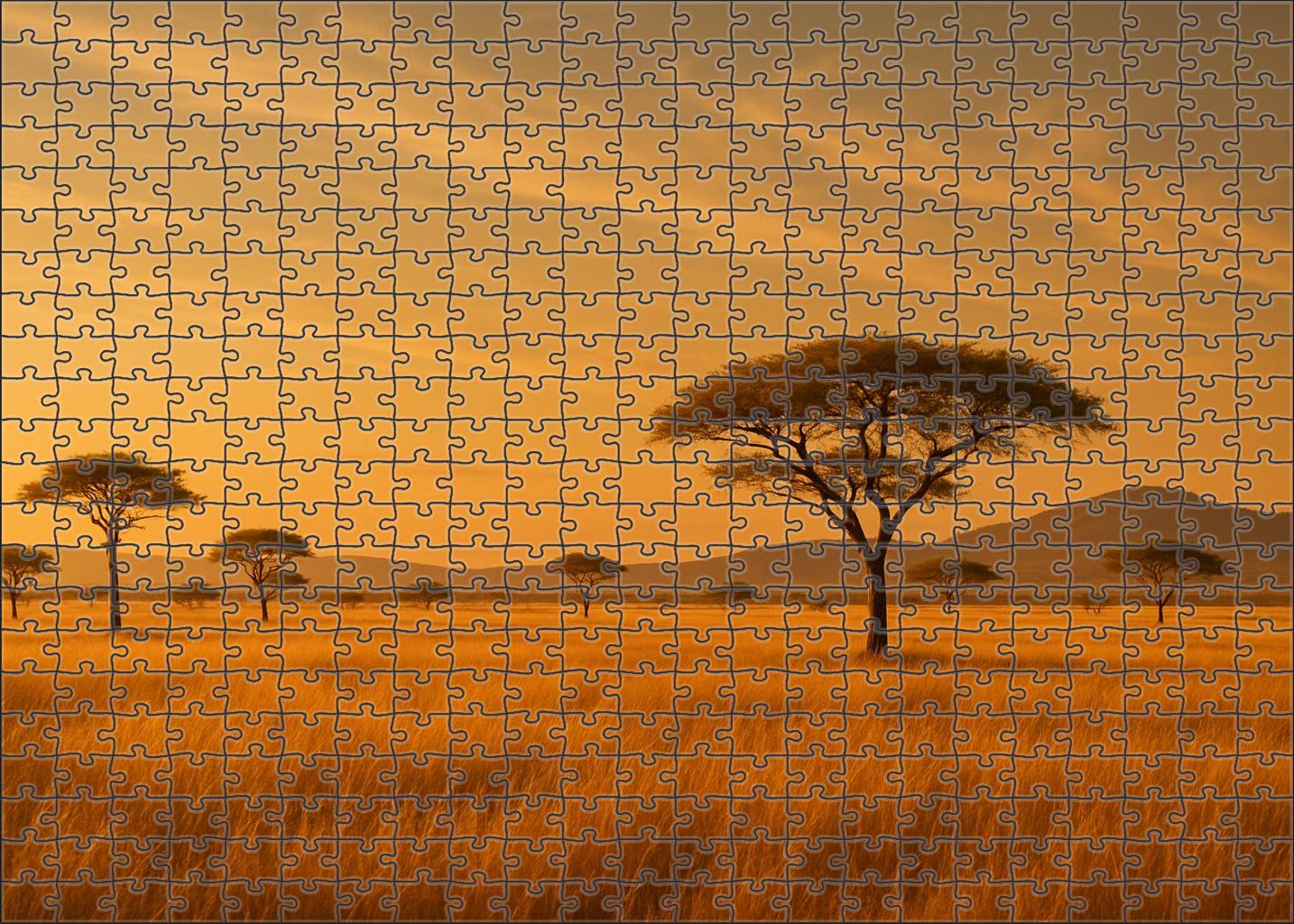 Golden Savannah Breeze Challenging Puzzles
