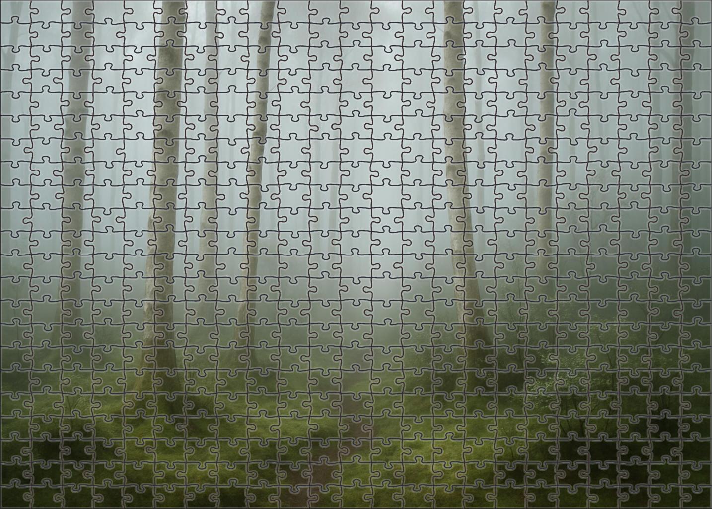 Misty Hollow Passage Premium Puzzle Pieces