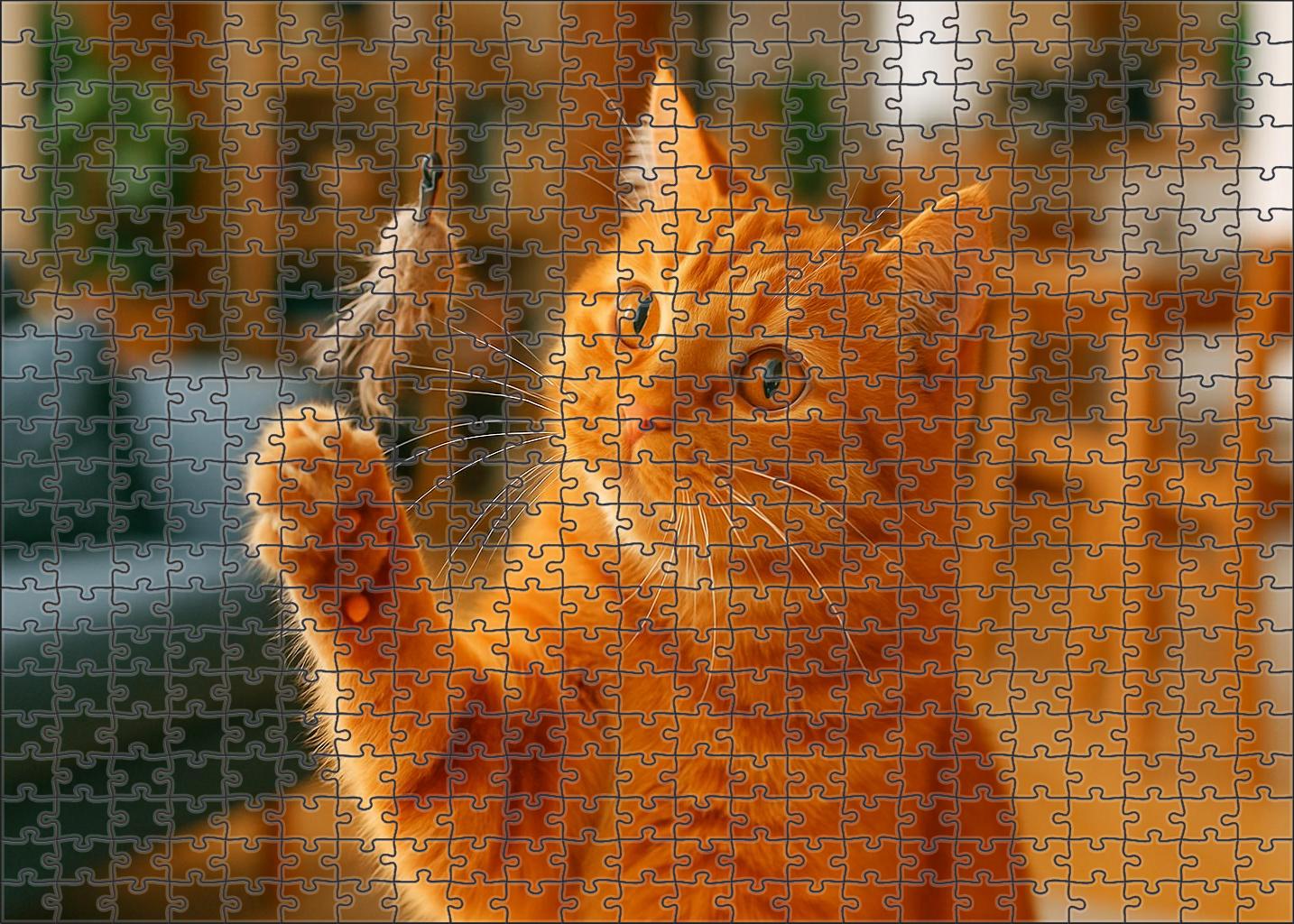 Amber Glow Warm Ginger Fur With Spirited Energy Unique Puzzle Design