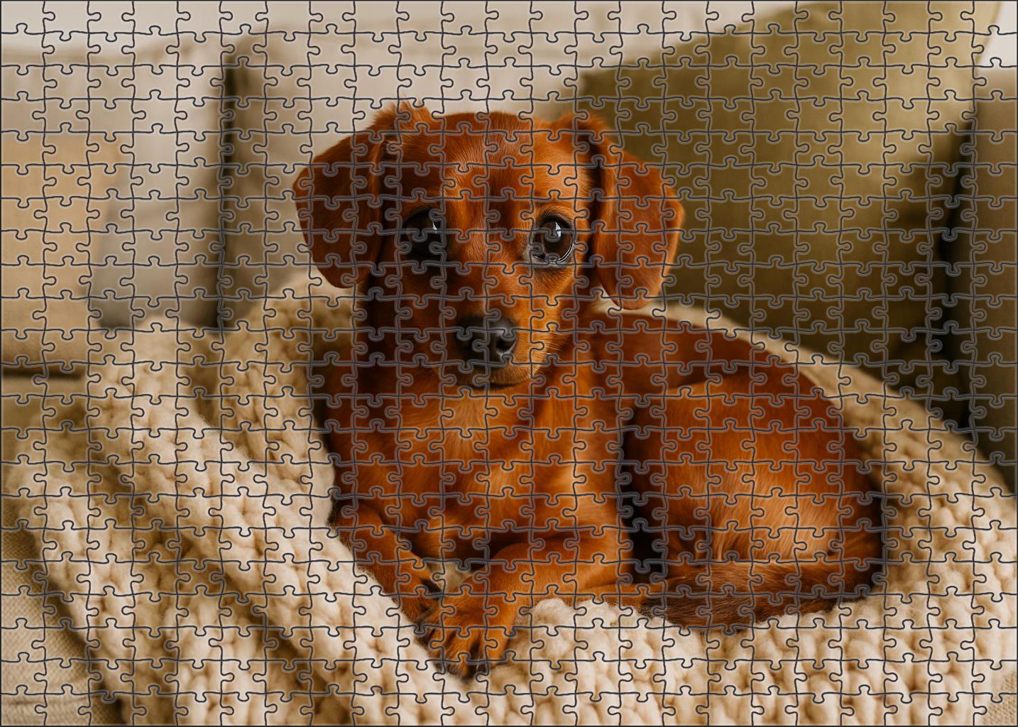Copper Veil Companion 500 Piece Puzzle