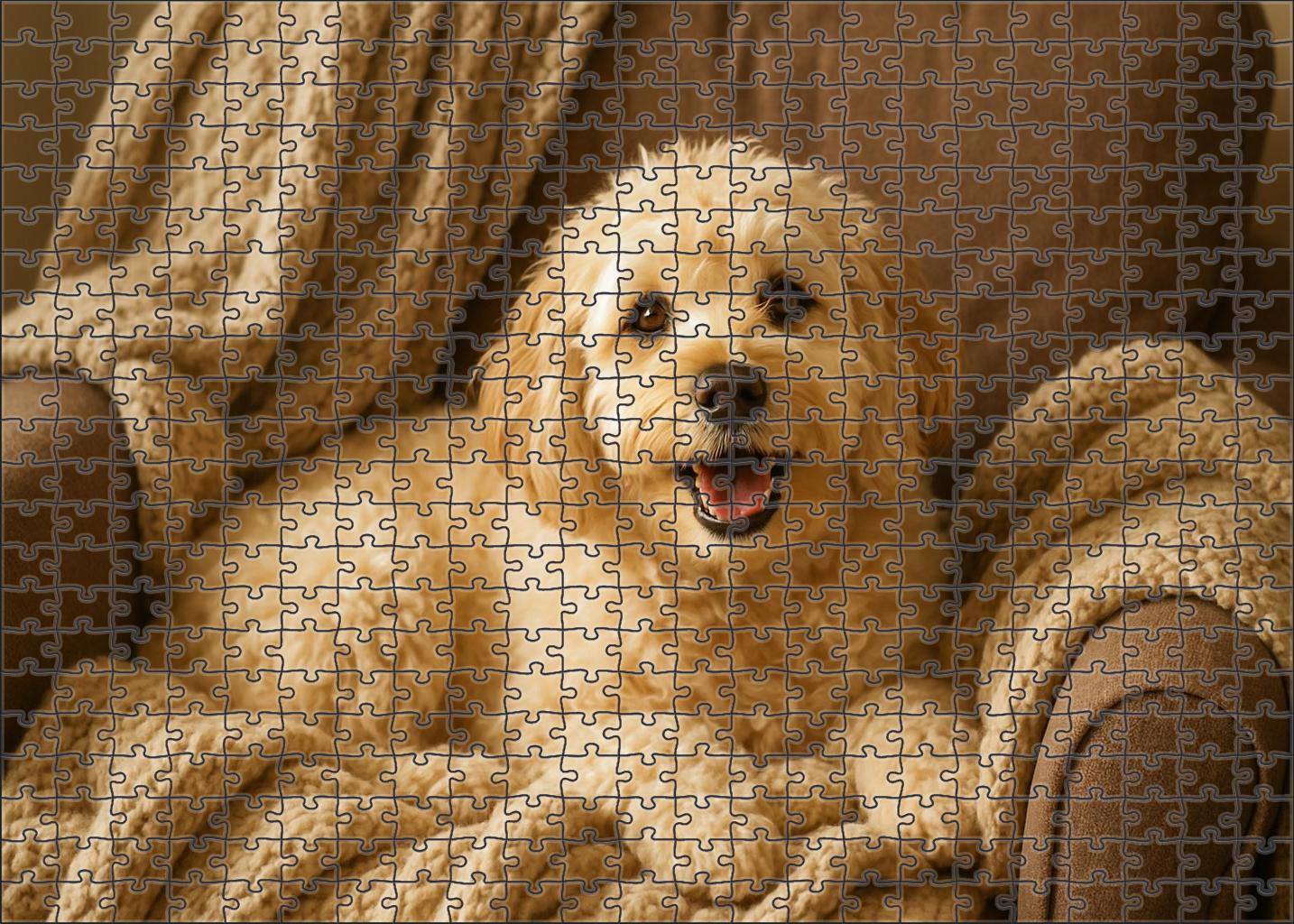 Cream Biscuit Puzzle Fun