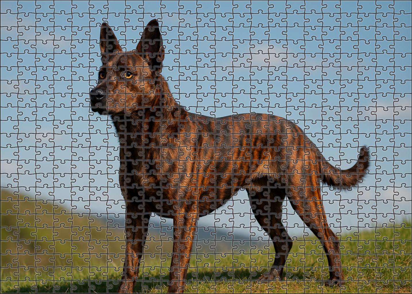 Brindle Flame 500 Piece Puzzle
