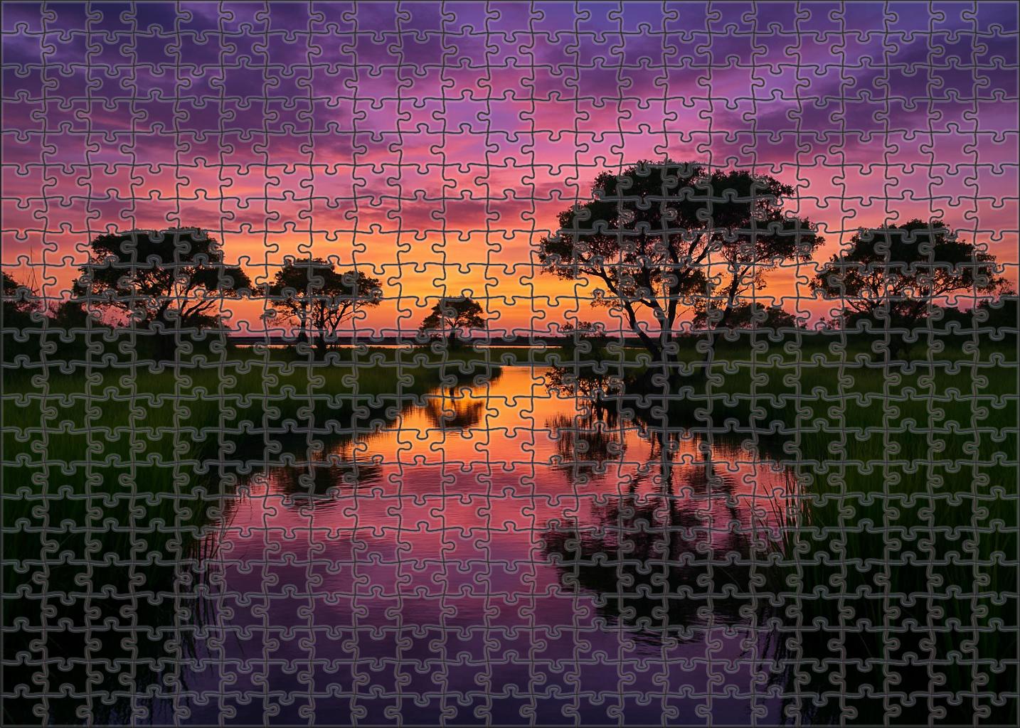 Twilight Coastal Marsh Easy Puzzles
