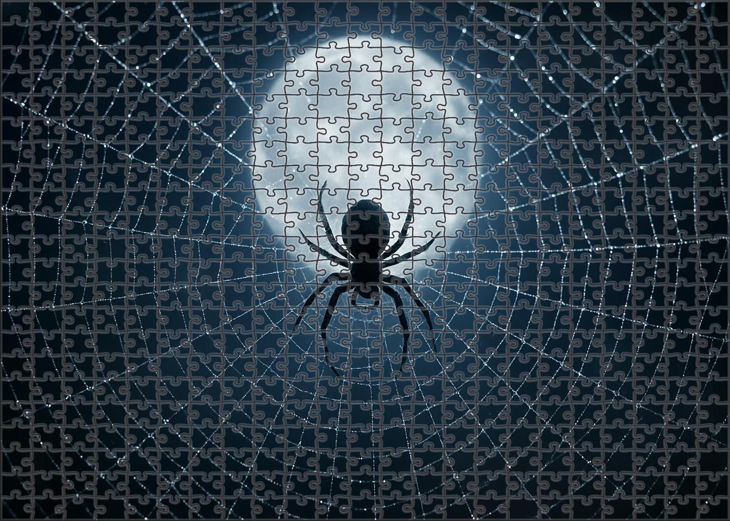 Celestial Velvet Spider Nocturnal Weaver With Iridescent Silk Puzzle Fun