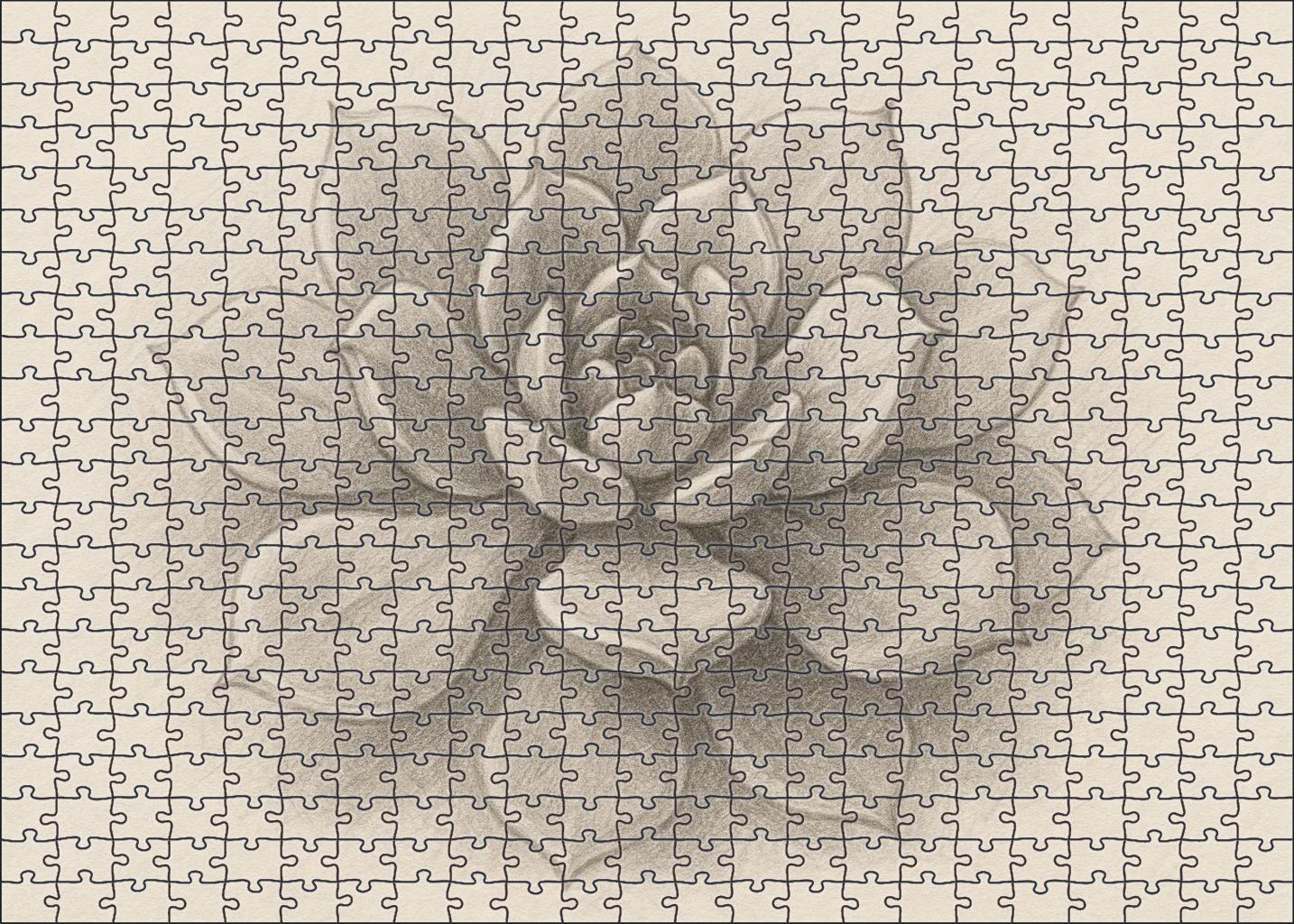 Botanical Portrait Of Succulent Growth Soft Graphite Rendering With Layered Shading 1000 Piece Puzzle