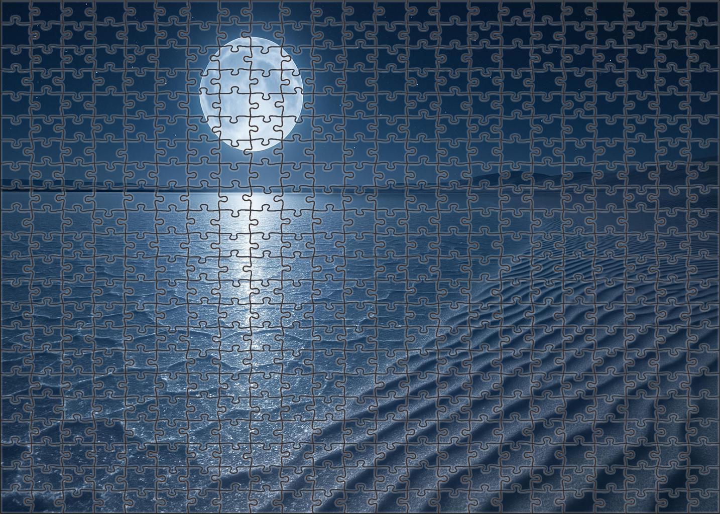 Moonlit Silver Flats Salt Crust And Whispering Sand Ripples Large Format Puzzle