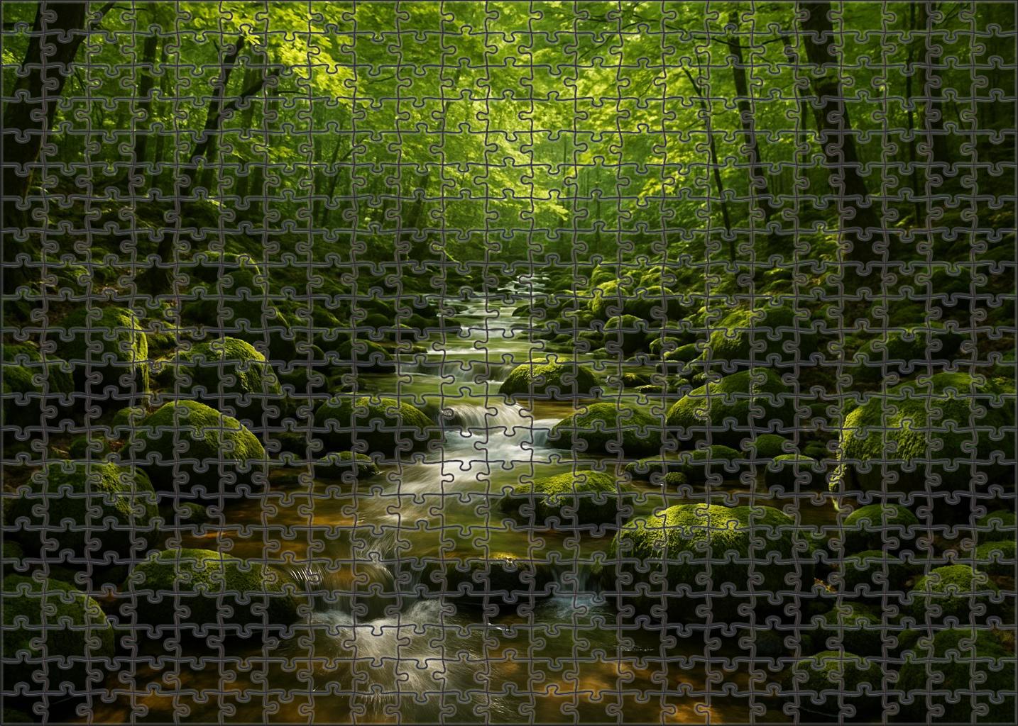 Hidden Forest Stream Easy Puzzles