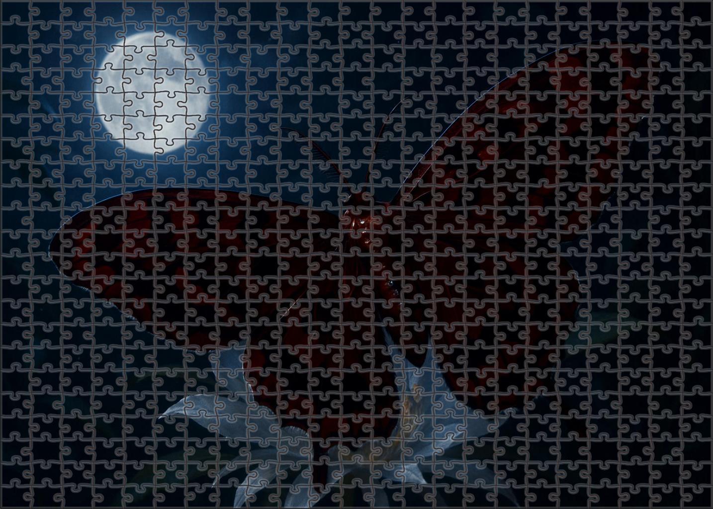 Crimson Phantom Moth Nocturnal Flyer With Iridescent Wing Patterns Large Format Puzzle