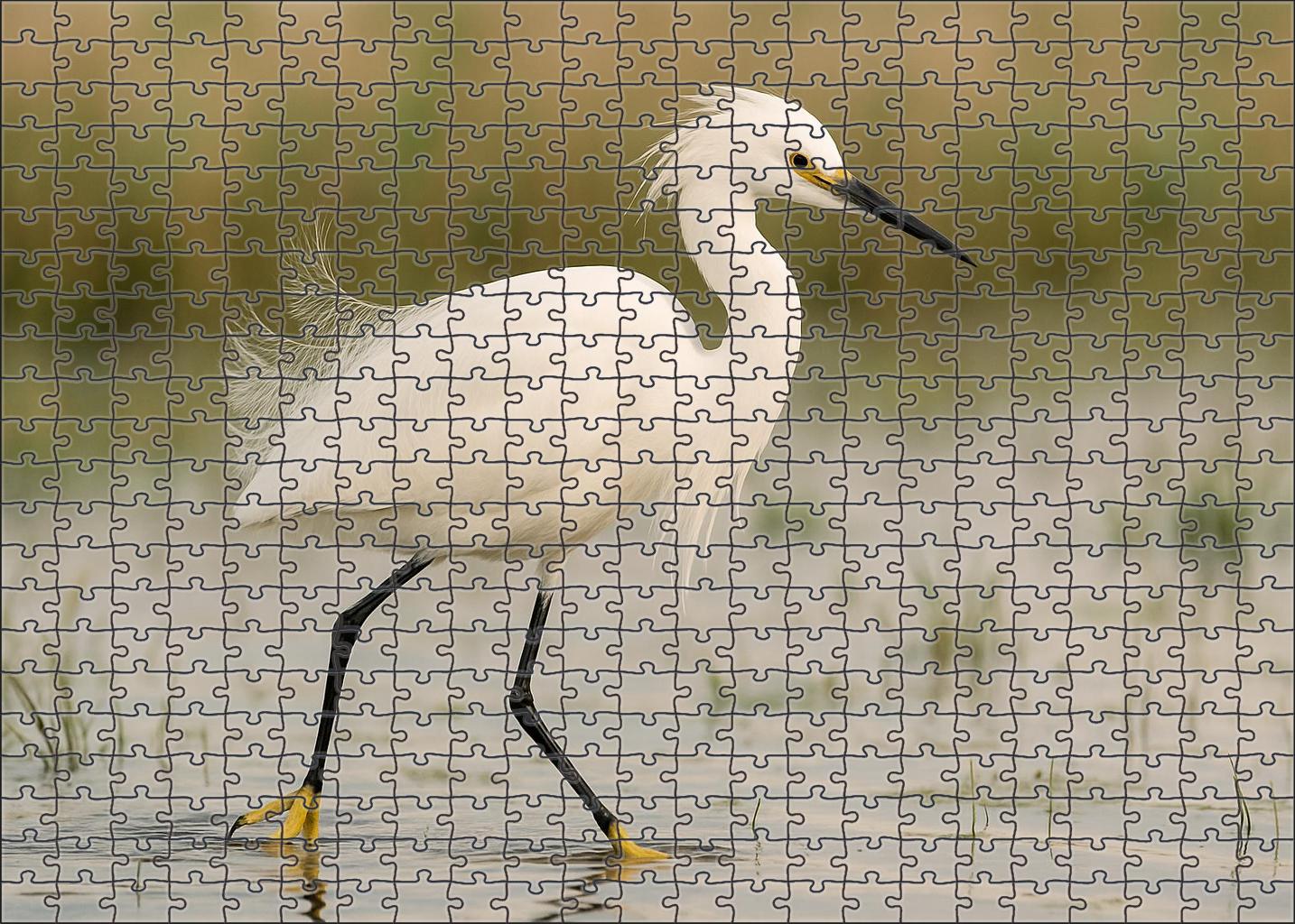 Snowy Egret Graceful Marshland Performer 300 Piece Puzzle