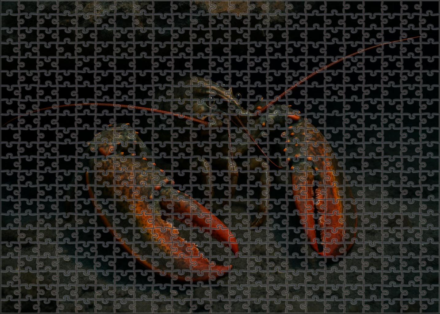 Amber Spotted Lobster Robust Crustacean With Patterned Claws And Nocturnal Foraging 200 Piece Puzzle