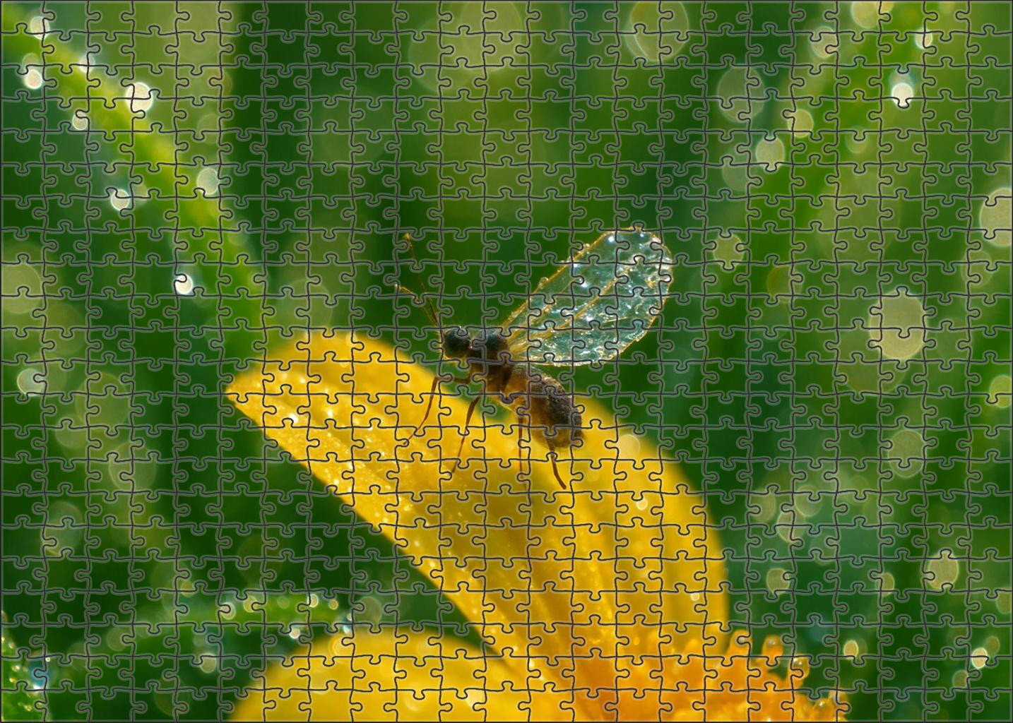 Crystal Featherwing Minute Insect With Transparent Wings Sparkling Like Glass 100 Piece Puzzle