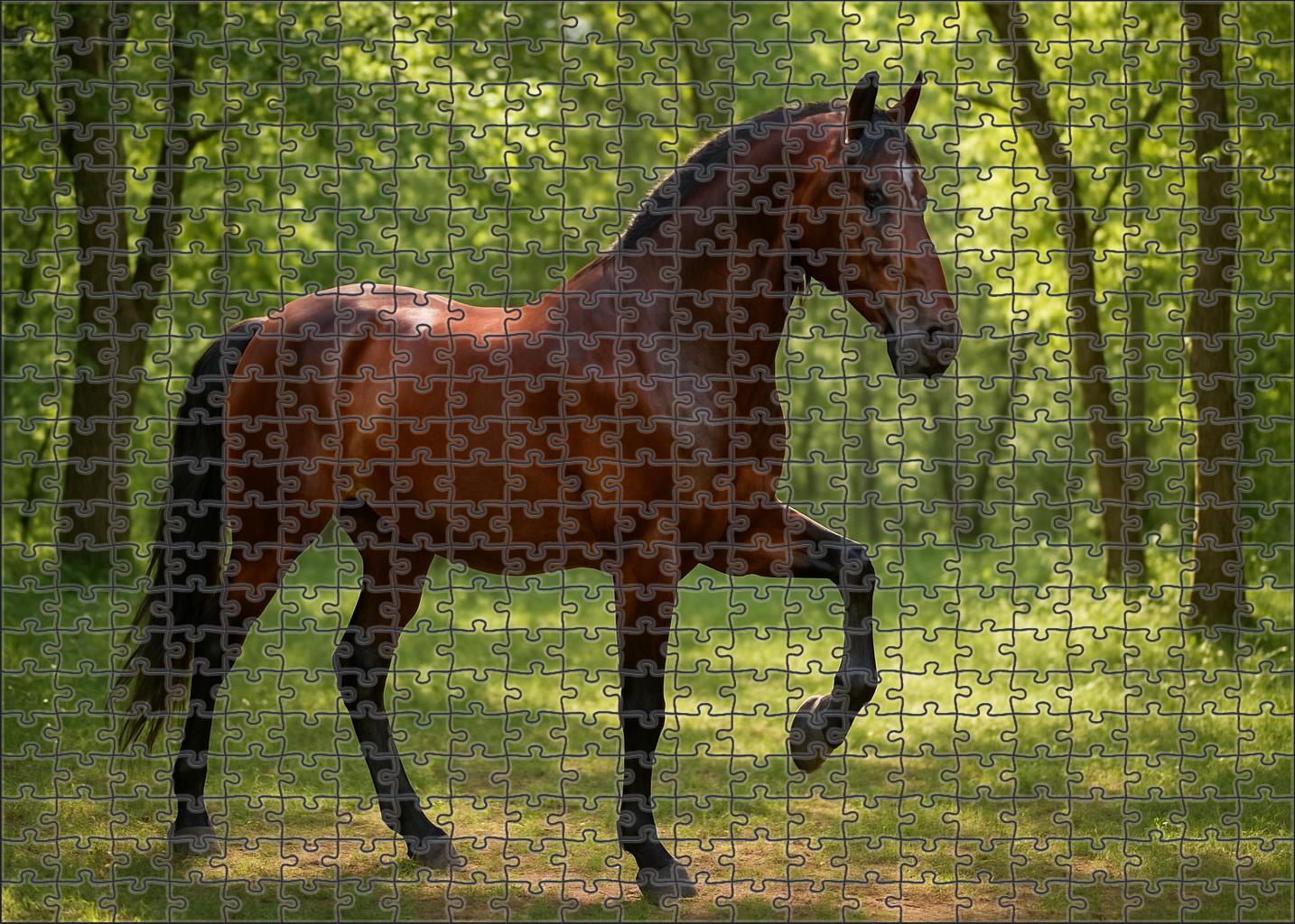 Dusky Valley Walker Graceful Bay Gaited Gelding Challenging Puzzles